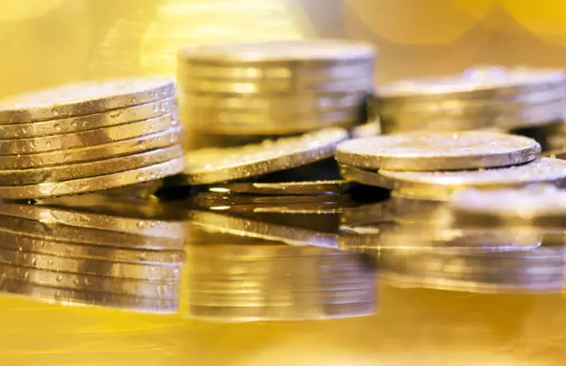 Socio General de un Fondo: Roles, Compensaciones y Riesgos - Qué tipo de sociedad es un fondo de inversión finanzas socio general fondos inversion - Qué tipo de sociedad es un fondo de inversión