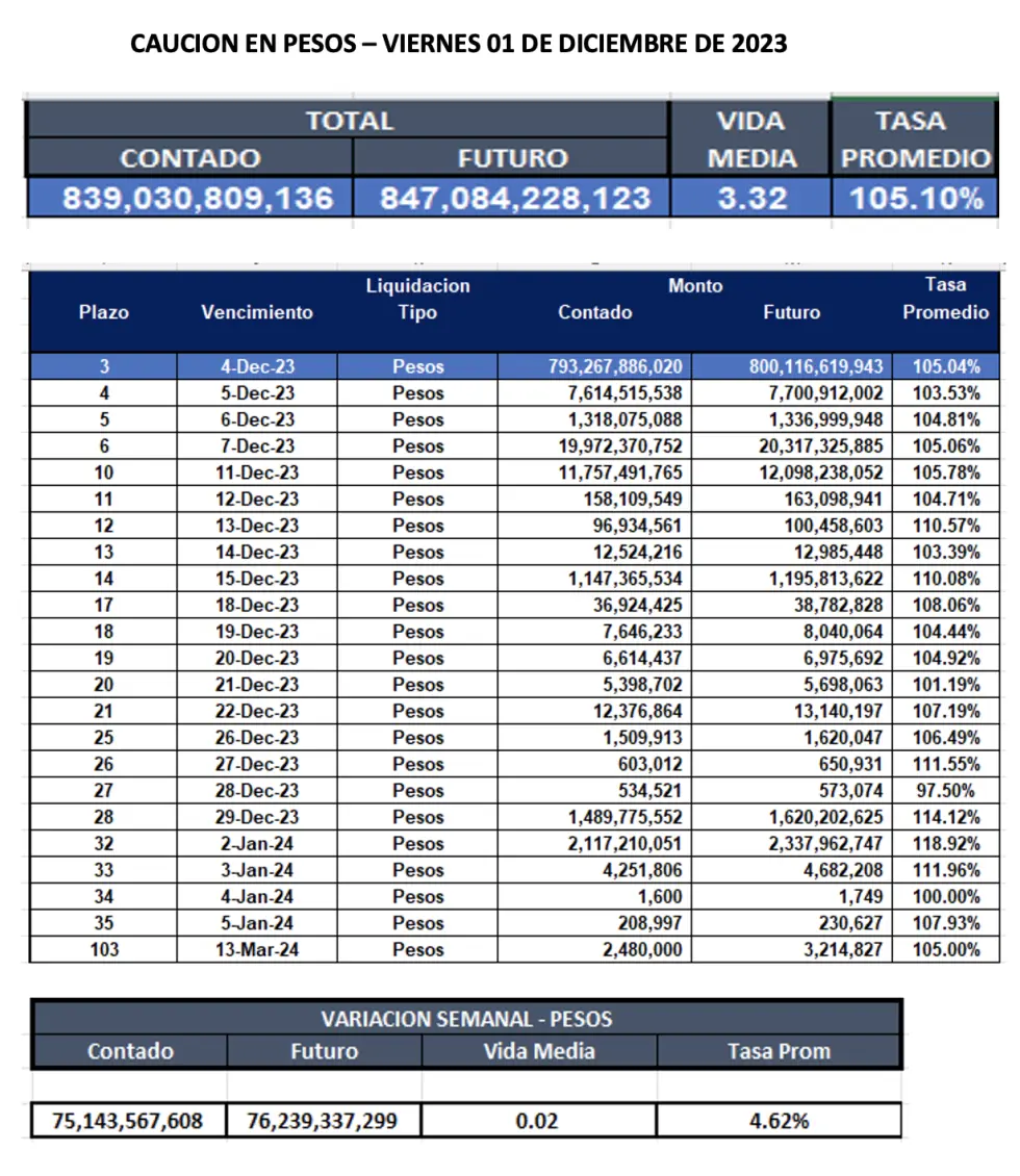 Cauciones en Finanzas: Una Guía Completa - Qué tipos de cauciones existen finanzas y creditos cauciones - Qué tipos de cauciones existen