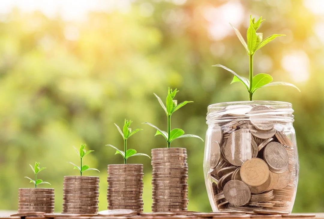 Lotes de Inversión: La Guía Completa para Comprar Terrenos en Yucatán - Qué tipos de lotes hay lotes de inversion - Qué tipos de lotes hay