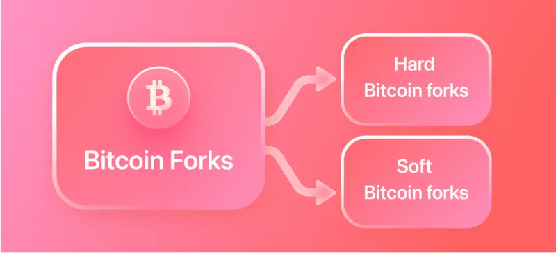 Bitcoin: ¿Se puede revertir una transacción? Entendiendo la irreversibilidad - Se puede revertir un bitcoin enviado bitcoin cancelacion bifurcacion - Se puede revertir un bitcoin enviado