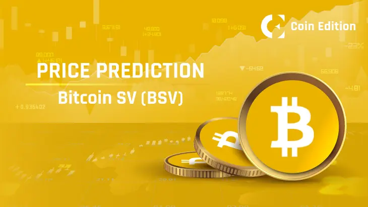 Bitcoin SV: ¿Rentable y con futuro? Análisis del precio y su posible ascenso - Tiene futuro Bitcoin SV bitcoin sv es rentable va a subir - Tiene futuro Bitcoin SV