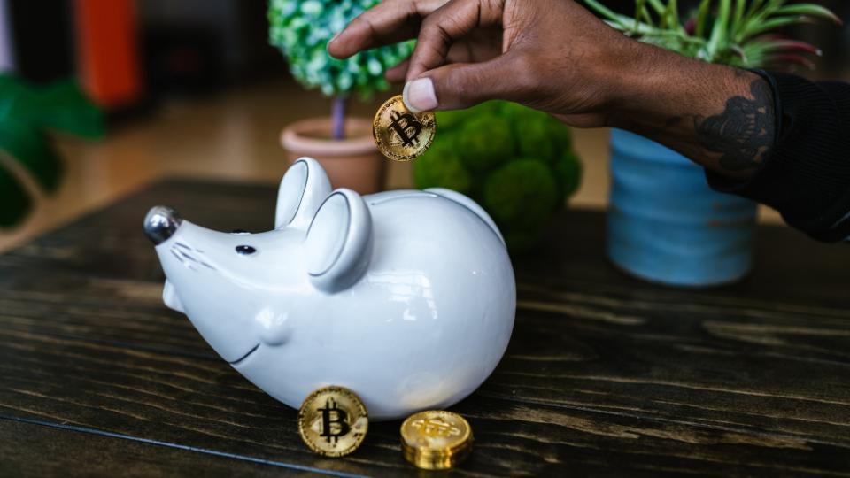 Las Mejores Plataformas de Intercambio de Bitcoin en India: Una Guía Completa - Which Bitcoin wallet is the best in India best bitcoin exchange in india - Which Bitcoin wallet is the best in India