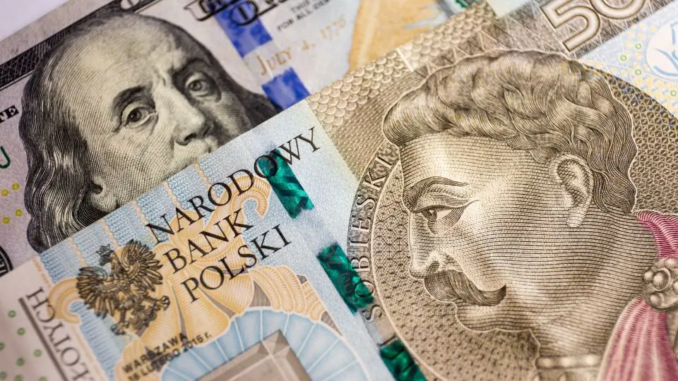 zloty euro graph - Why is Polish zloty so strong